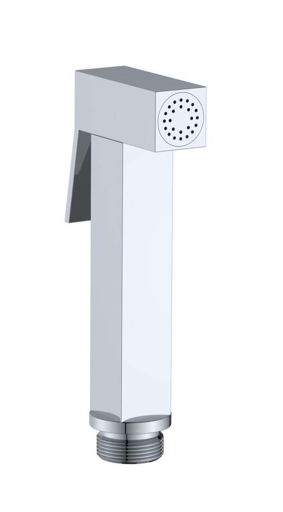 Гигиеническая лейка AltroBagno BS 060212 Cr