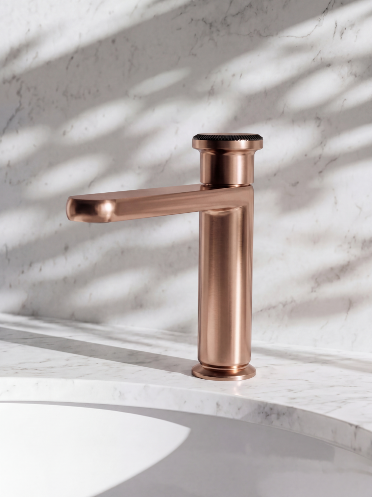Ricco 0165 BC int