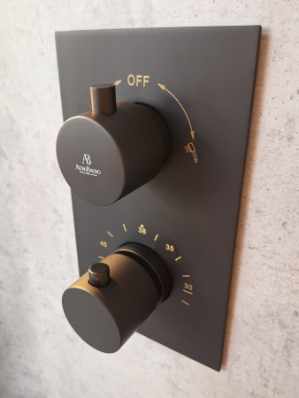 Душевая система с термостатом AltroBagno Unione 040408 MB