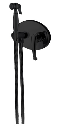 Встраиваемый гигиенический душ AltroBagno Beatrice 060112 BrNe