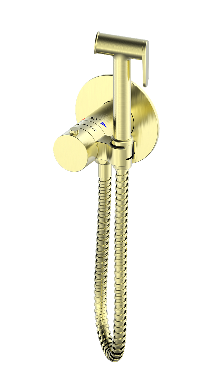 Гигиенический душ с термостатом AltroBagno Oggetto 060403 BG