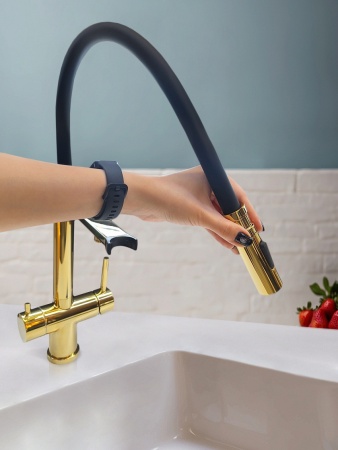 Смеситель для кухни с гибким изливом AltroBagno Flusso 050205 Gl